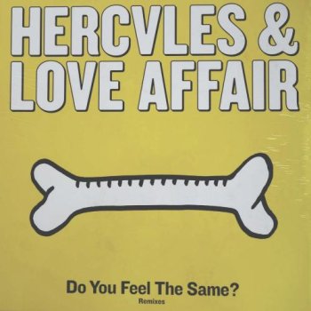 Vinyl 12" - Hercules & Love Affair Do You Feel The Same? (Remixes)