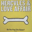 Vinyl 12" - Hercules & Love Affair Do You Feel The Same? (Remixes)